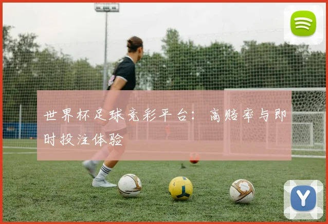 世界杯足球竞彩平台：高赔率与即时投注体验
