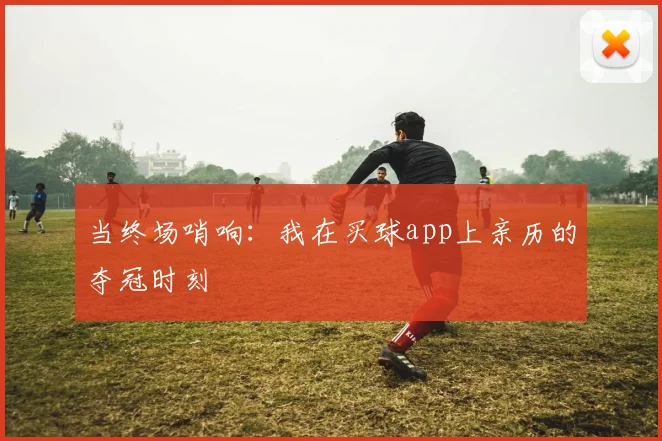 当终场哨响：我在买球app上亲历的夺冠时刻