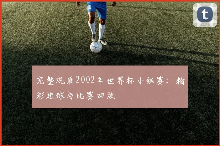 完整观看2002年世界杯小组赛：精彩进球与比赛回放