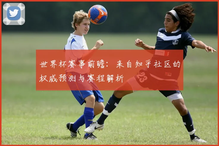 世界杯赛事前瞻：来自知乎社区的权威预测与赛程解析