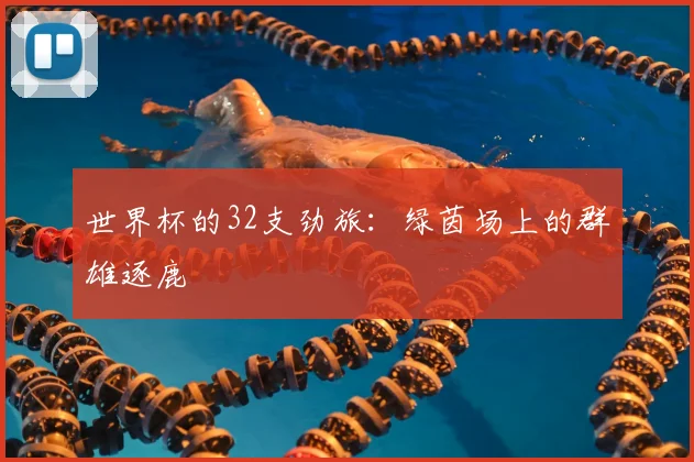 世界杯的32支劲旅：绿茵场上的群雄逐鹿