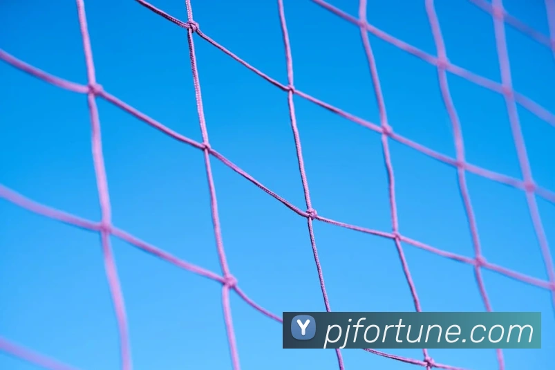 333体育官网是什么APP 高清赛事图